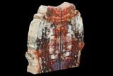 Tall, Arizona Petrified Wood Bookends - Red & Black #99323-1